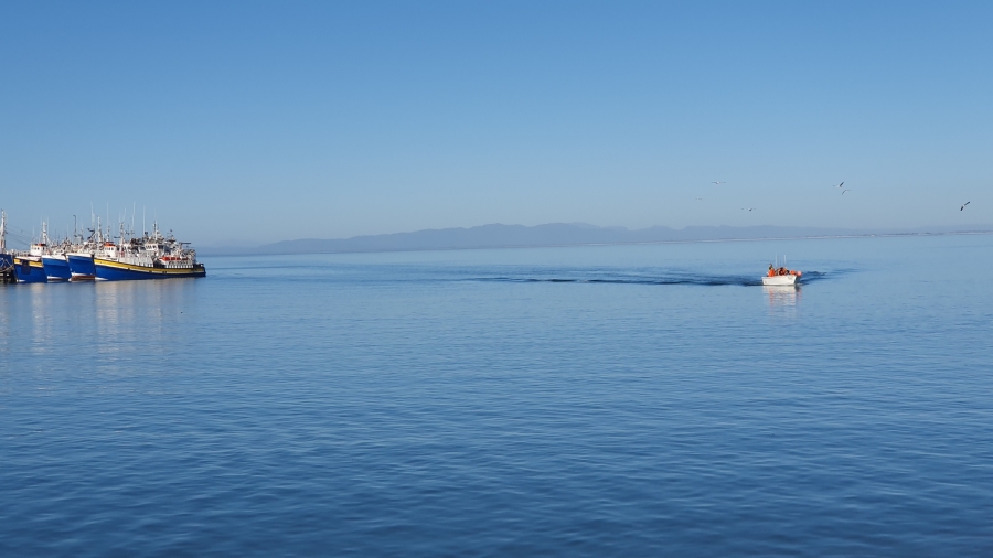 0 Bedroom Property for Sale in Shelley Point Western Cape